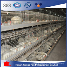 Automatic /Semi Automatic Poultry Equipment for Broiler Chickenon Sell